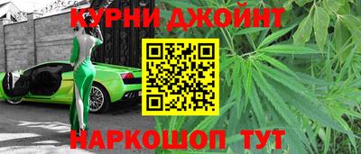 шишки Жуковский